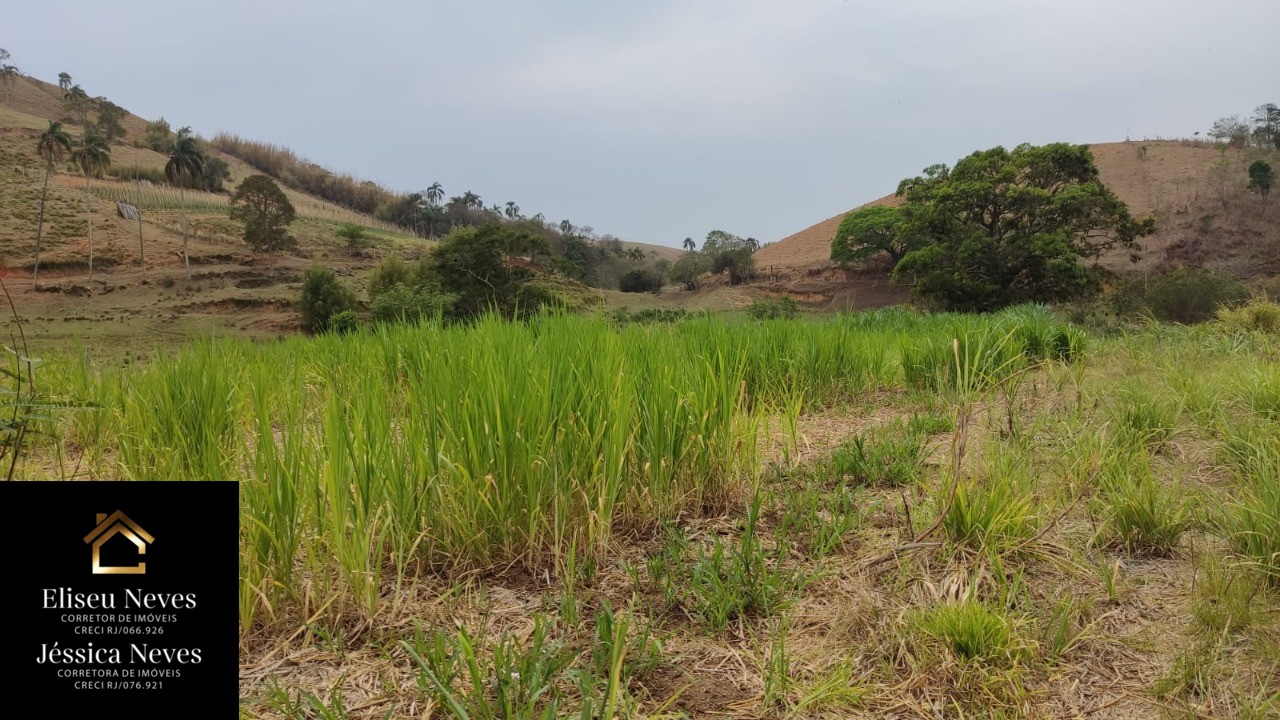 Terreno à venda, 290000m² - Foto 4