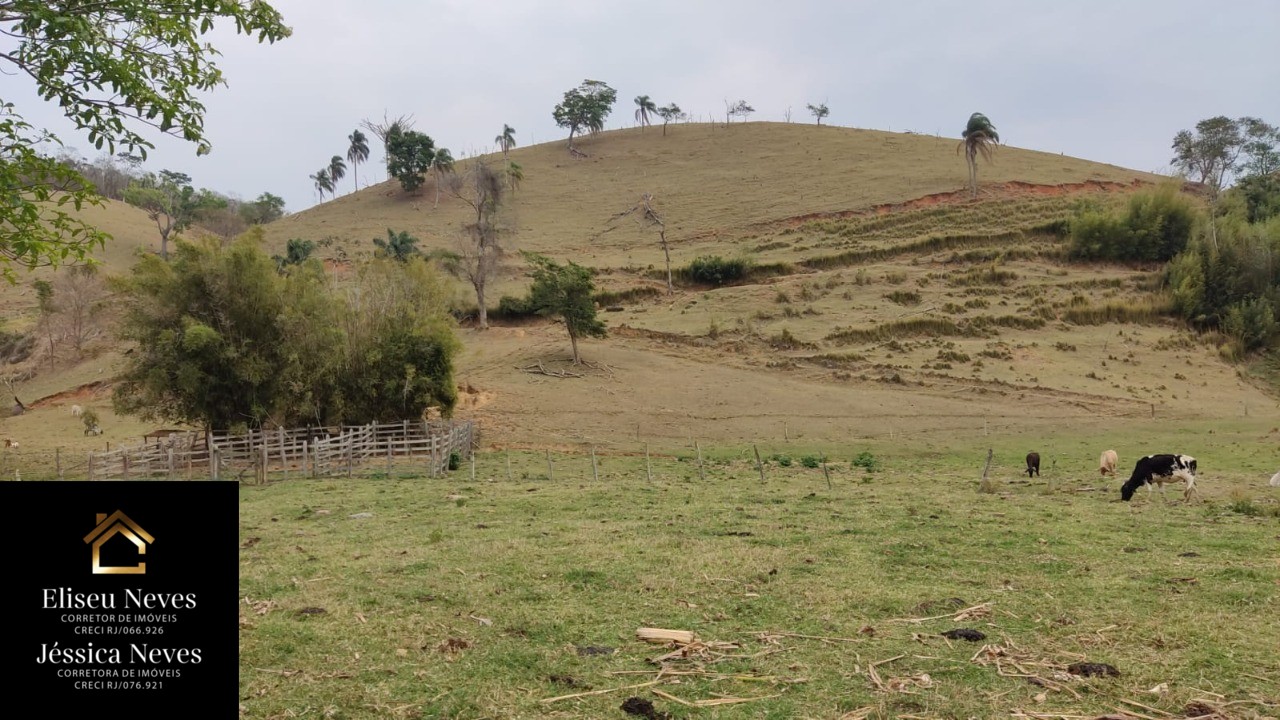 Terreno à venda, 290000m² - Foto 3