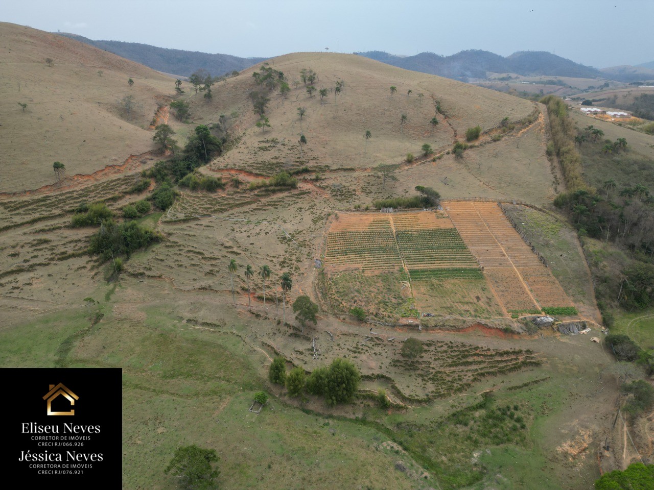 Terreno à venda, 290000m² - Foto 1