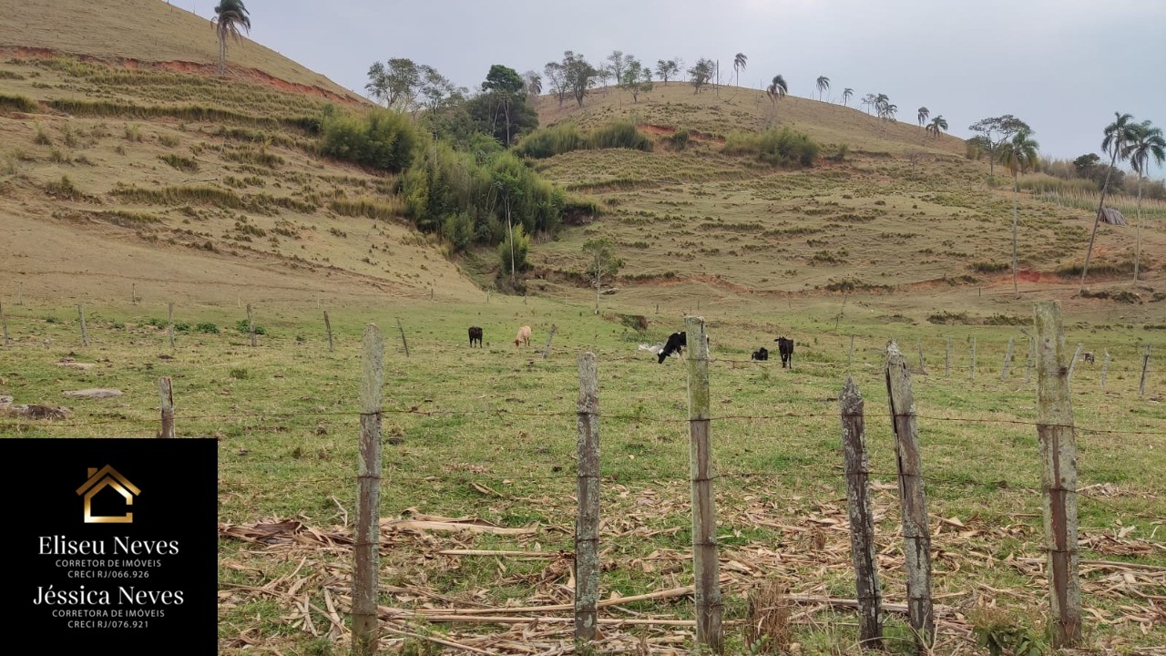 Terreno à venda, 290000m² - Foto 2