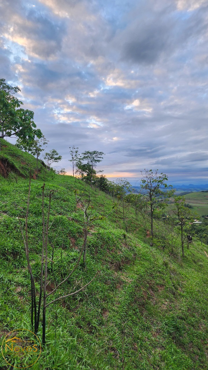 Terreno à venda, 24000m² - Foto 1