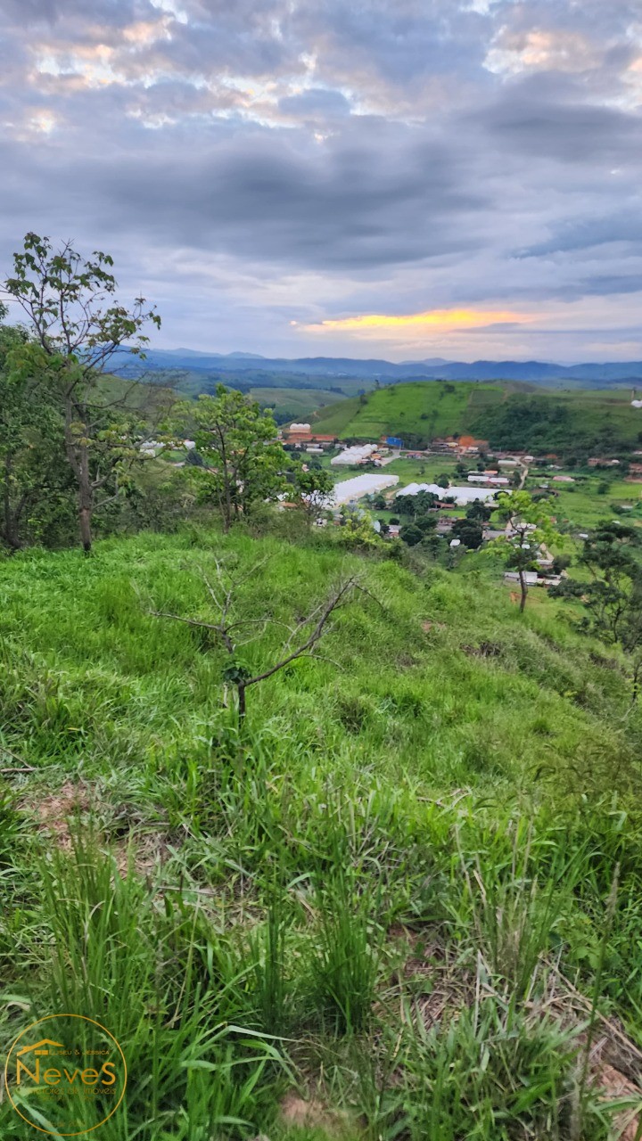 Terreno à venda, 24000m² - Foto 4