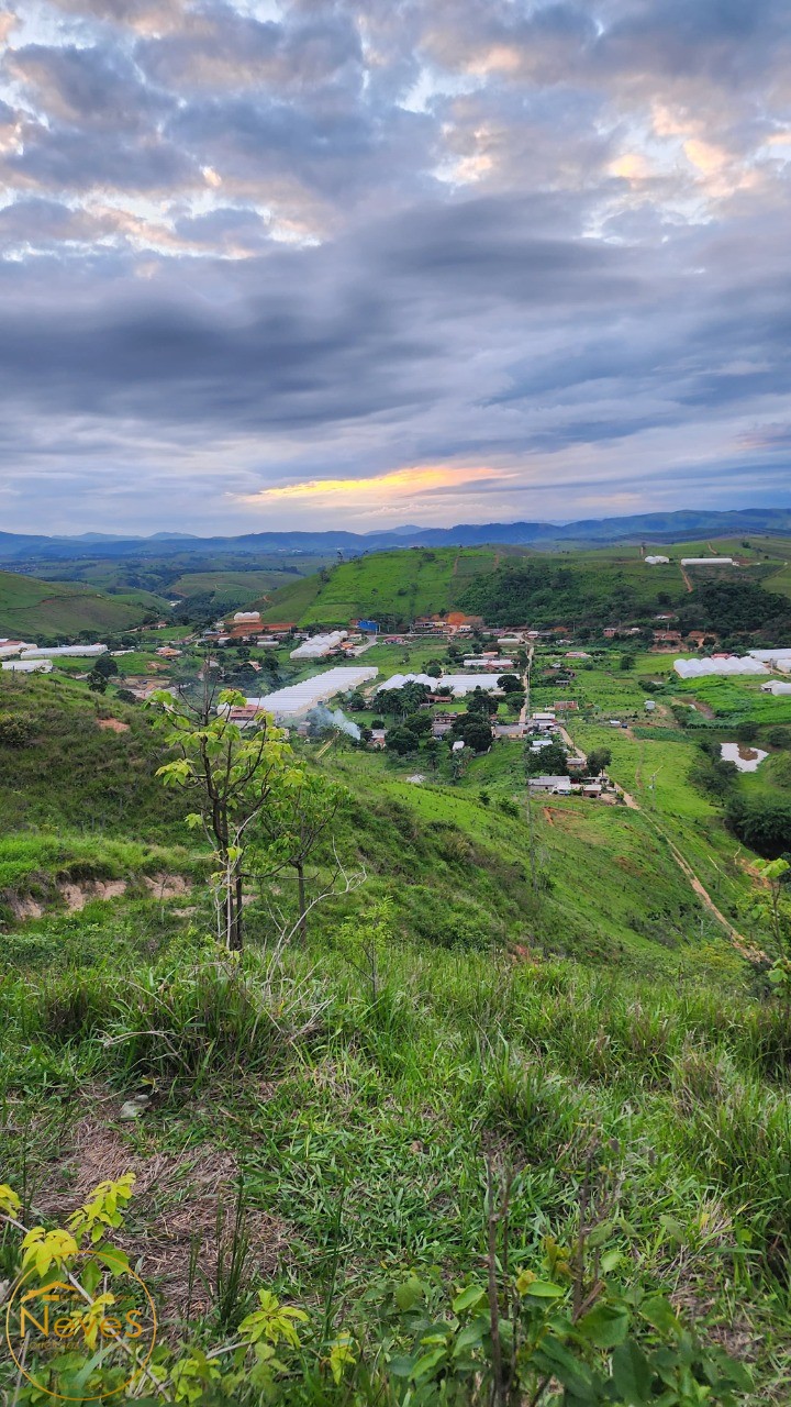 Terreno à venda, 24000m² - Foto 9