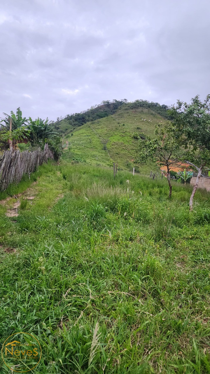 Terreno à venda, 24000m² - Foto 7