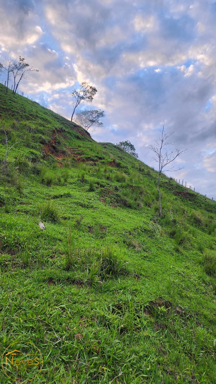 Terreno à venda, 24000m² - Foto 25