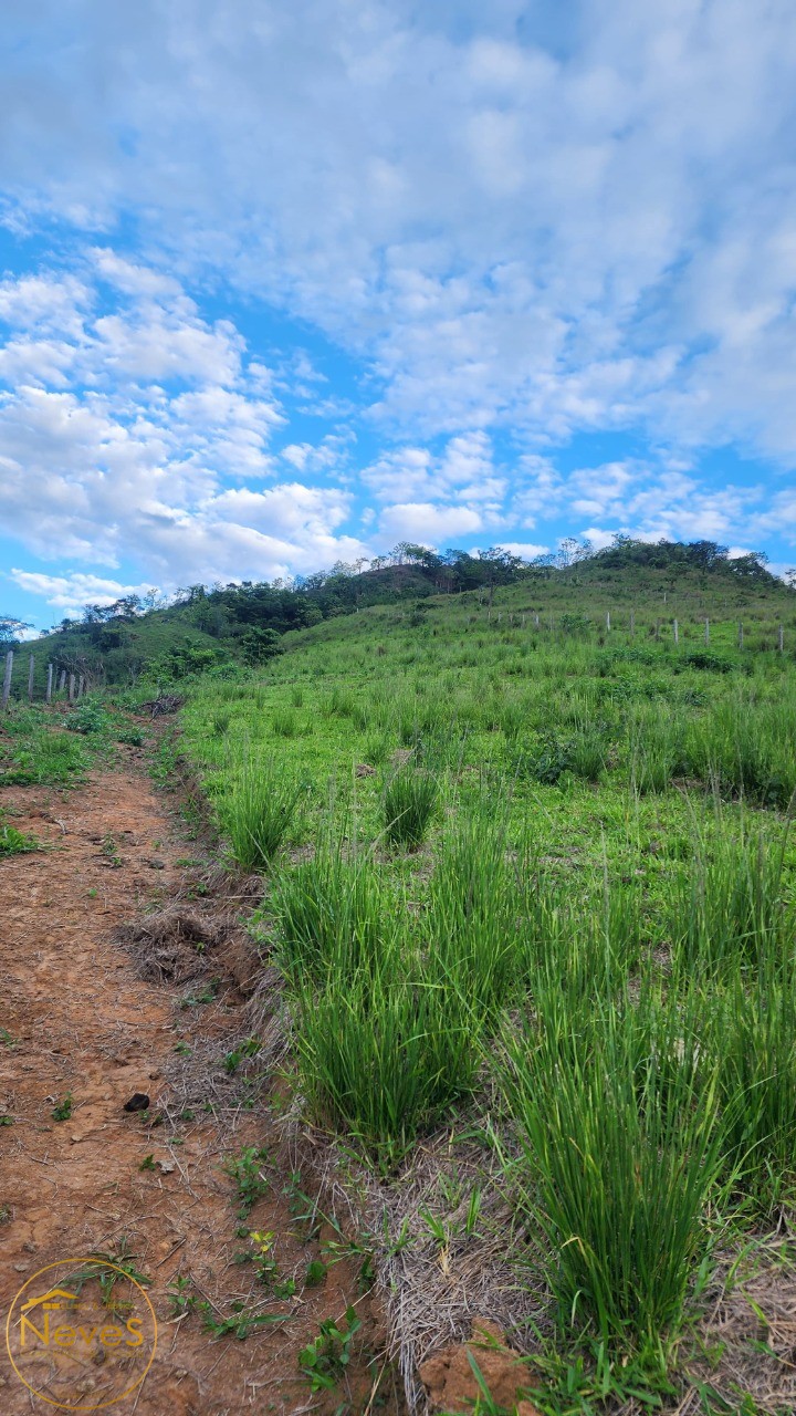 Terreno à venda, 24000m² - Foto 15