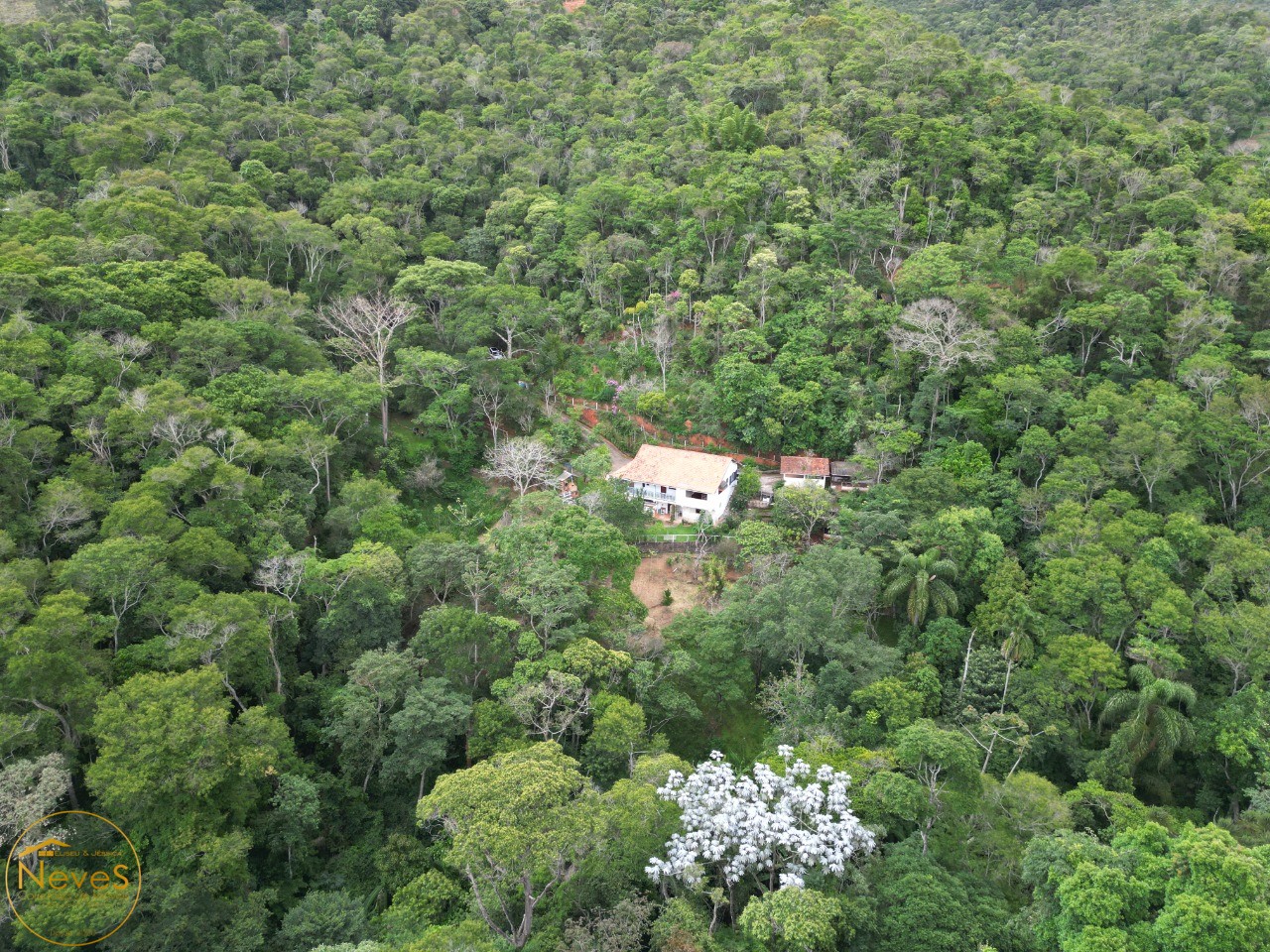 Sítio à venda com 3 quartos, 22385m² - Foto 53