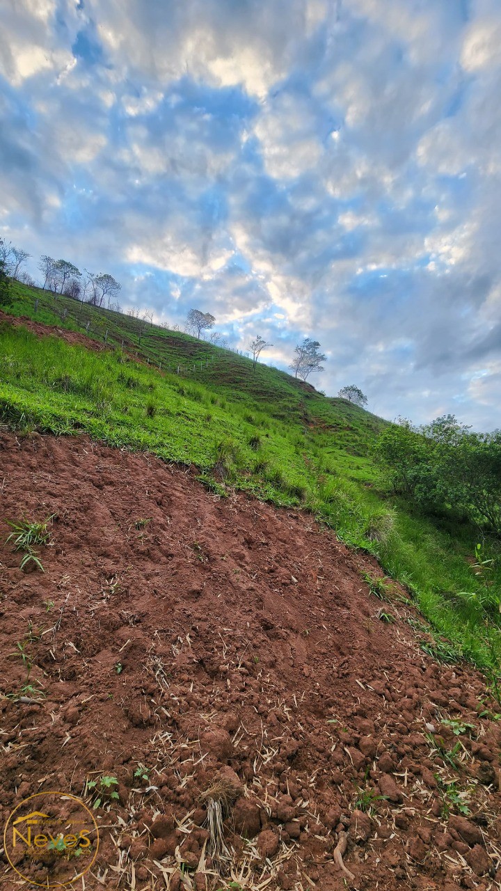 Terreno à venda, 24000m² - Foto 26