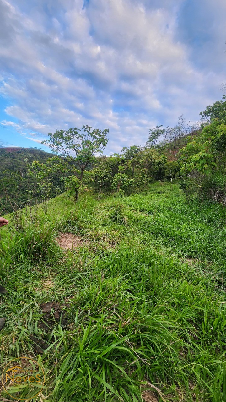 Terreno à venda, 24000m² - Foto 16