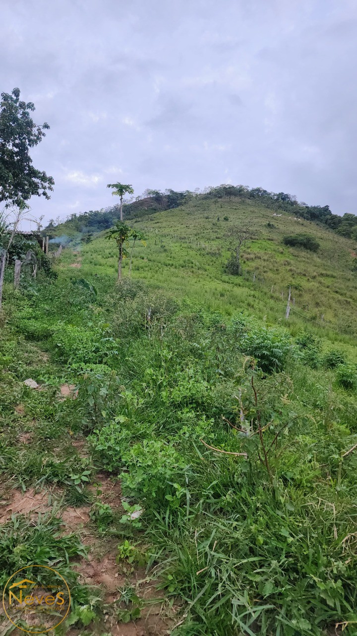 Terreno à venda, 24000m² - Foto 6