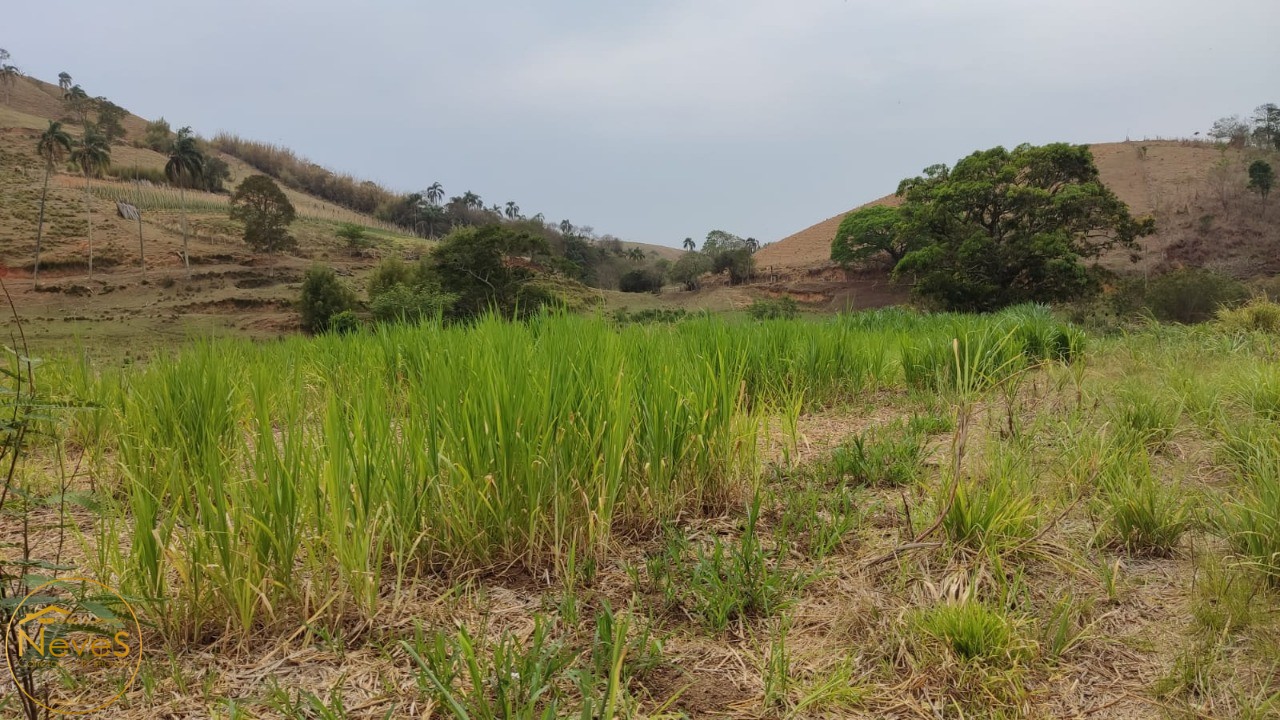 Terreno à venda, 290000m² - Foto 4