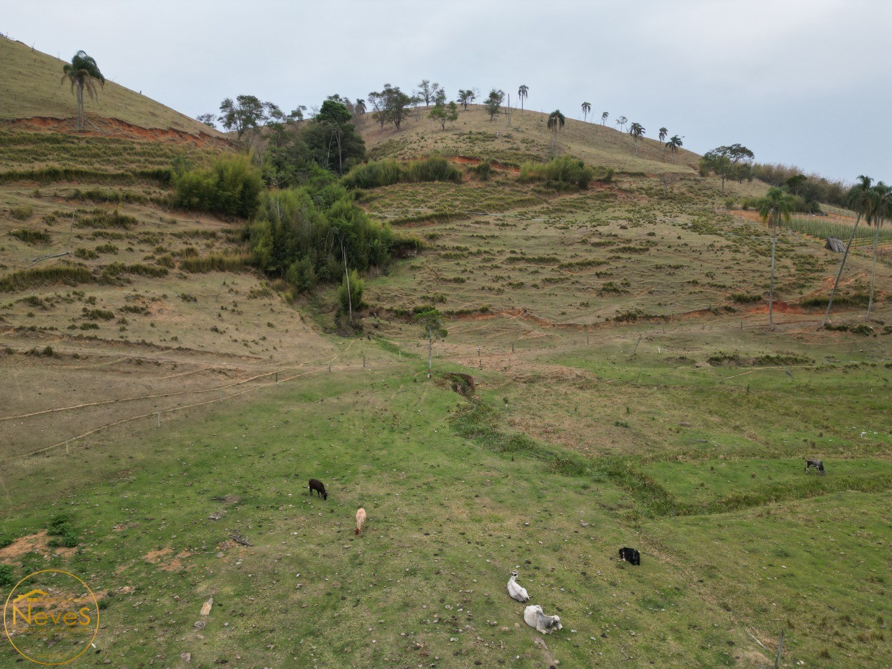 Terreno à venda, 290000m² - Foto 8