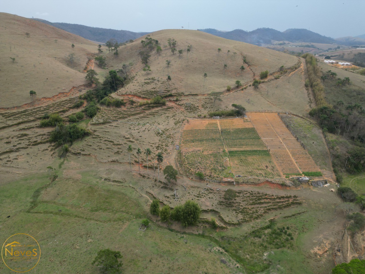 Terreno à venda, 290000m² - Foto 1