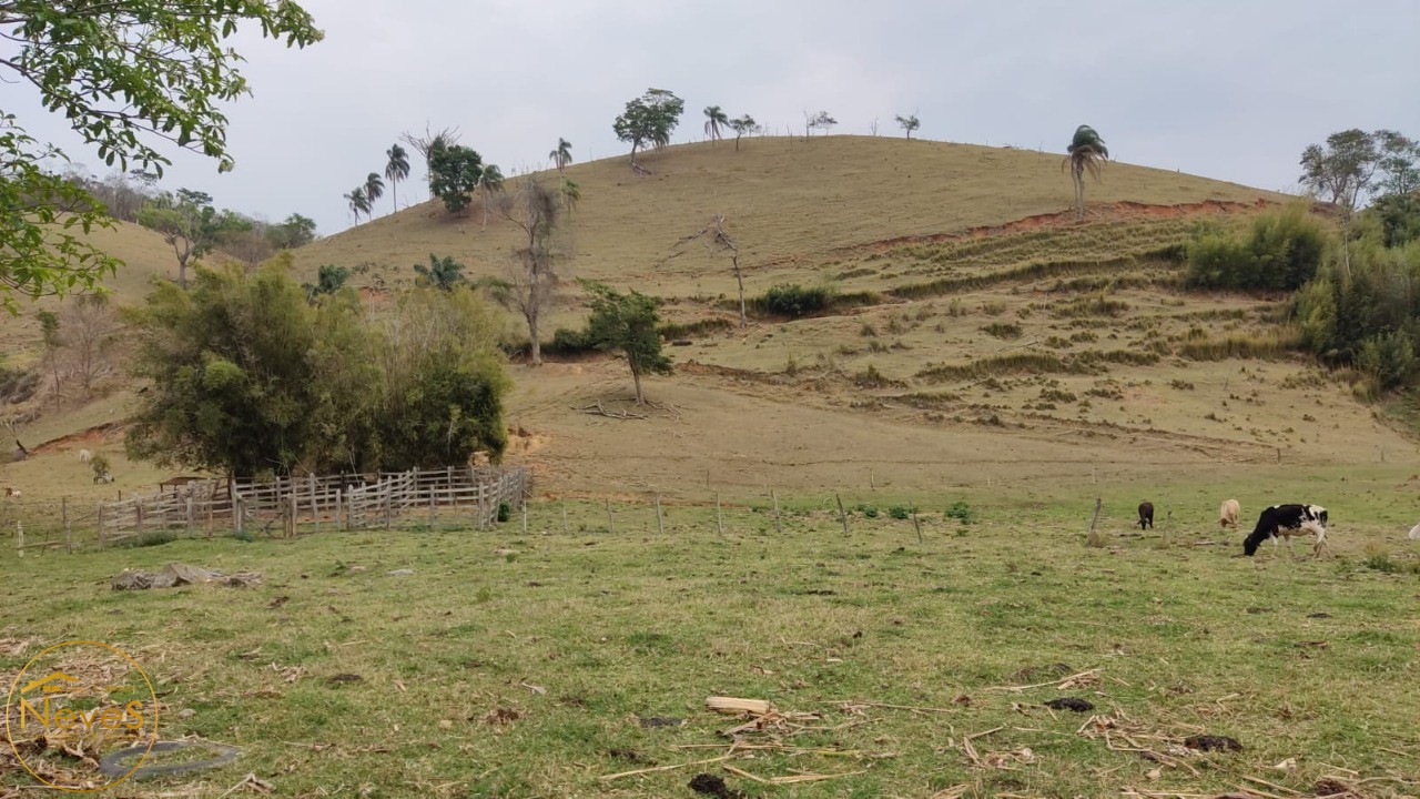 Terreno à venda, 290000m² - Foto 3