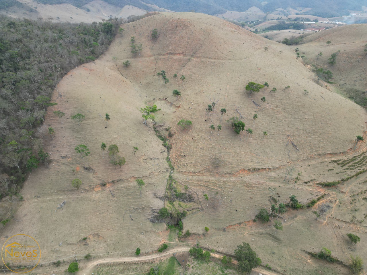 Terreno à venda, 290000m² - Foto 9