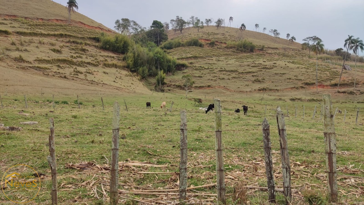 Terreno à venda, 290000m² - Foto 2