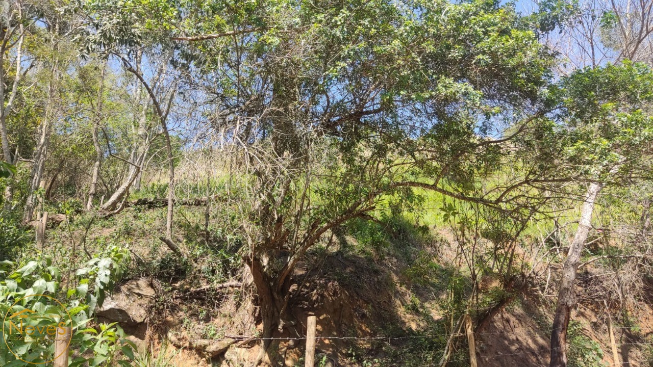 Terreno à venda, 780m² - Foto 7