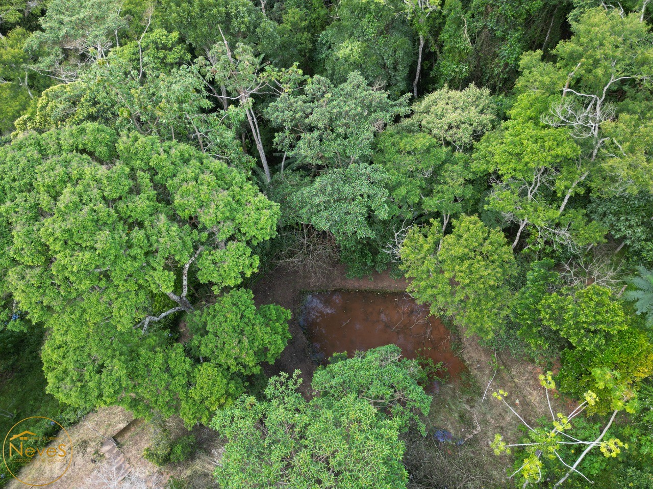 Sítio, 3 quartos, 2 hectares - Foto 52