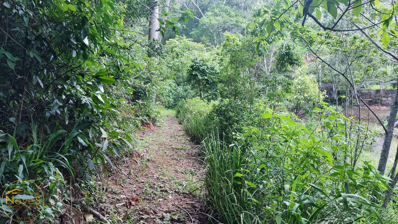 Sítio, 3 quartos, 2 hectares - Foto 48