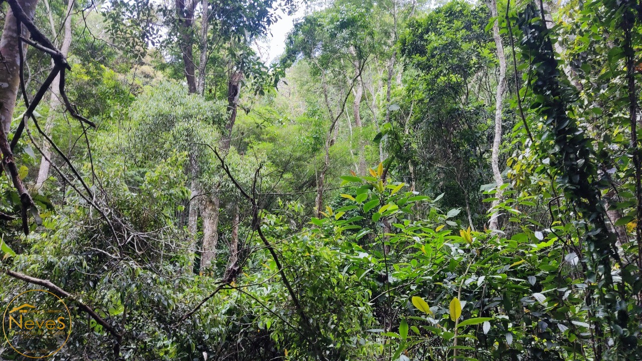 Sítio, 3 quartos, 2 hectares - Foto 47