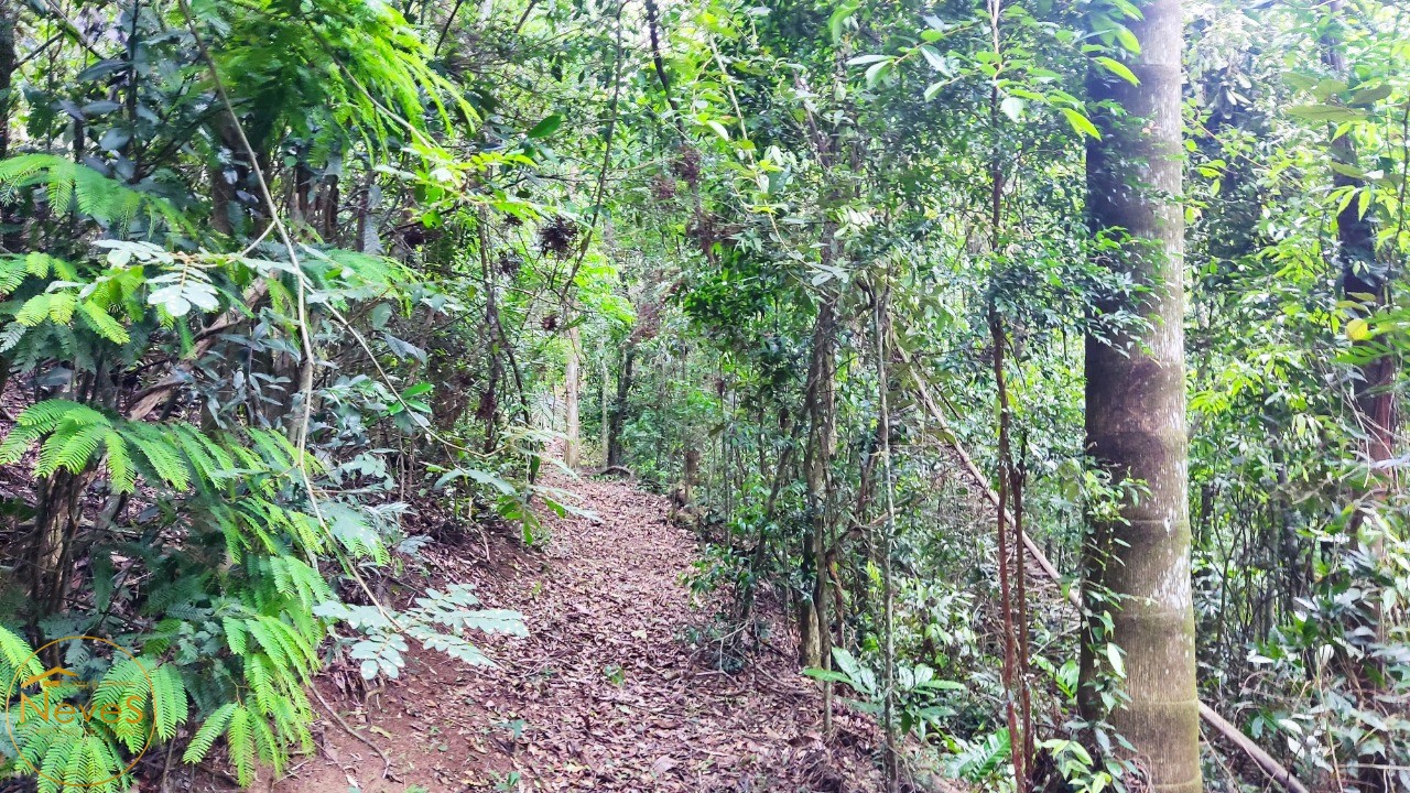 Sítio, 3 quartos, 2 hectares - Foto 46