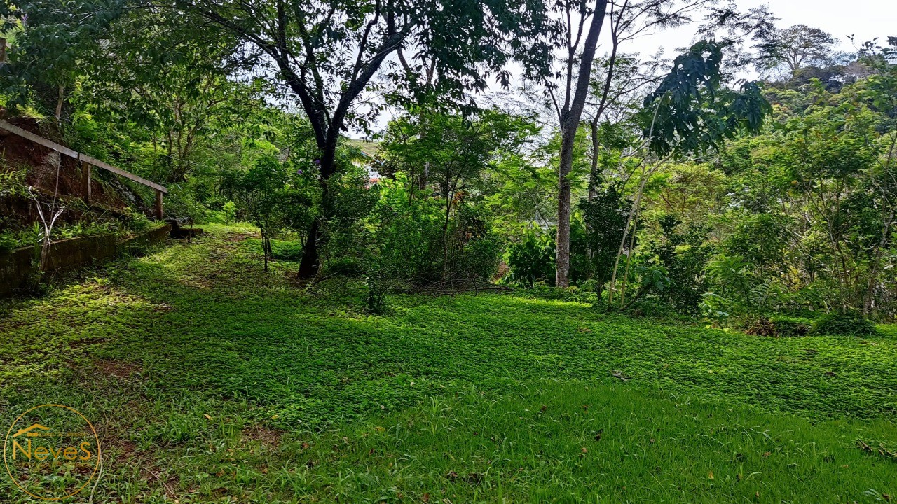 Sítio, 3 quartos, 2 hectares - Foto 41