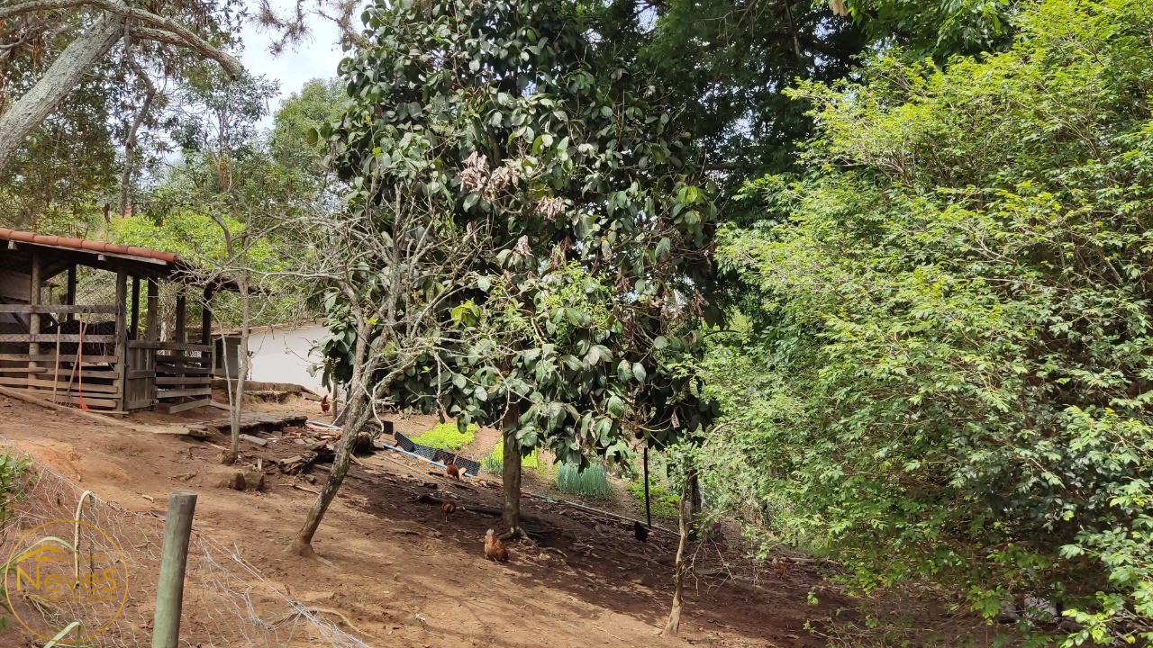 Sítio à venda com 3 quartos, 2850m² - Foto 55