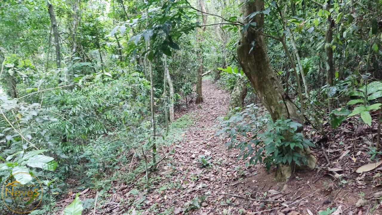 Sítio, 3 quartos, 2 hectares - Foto 45