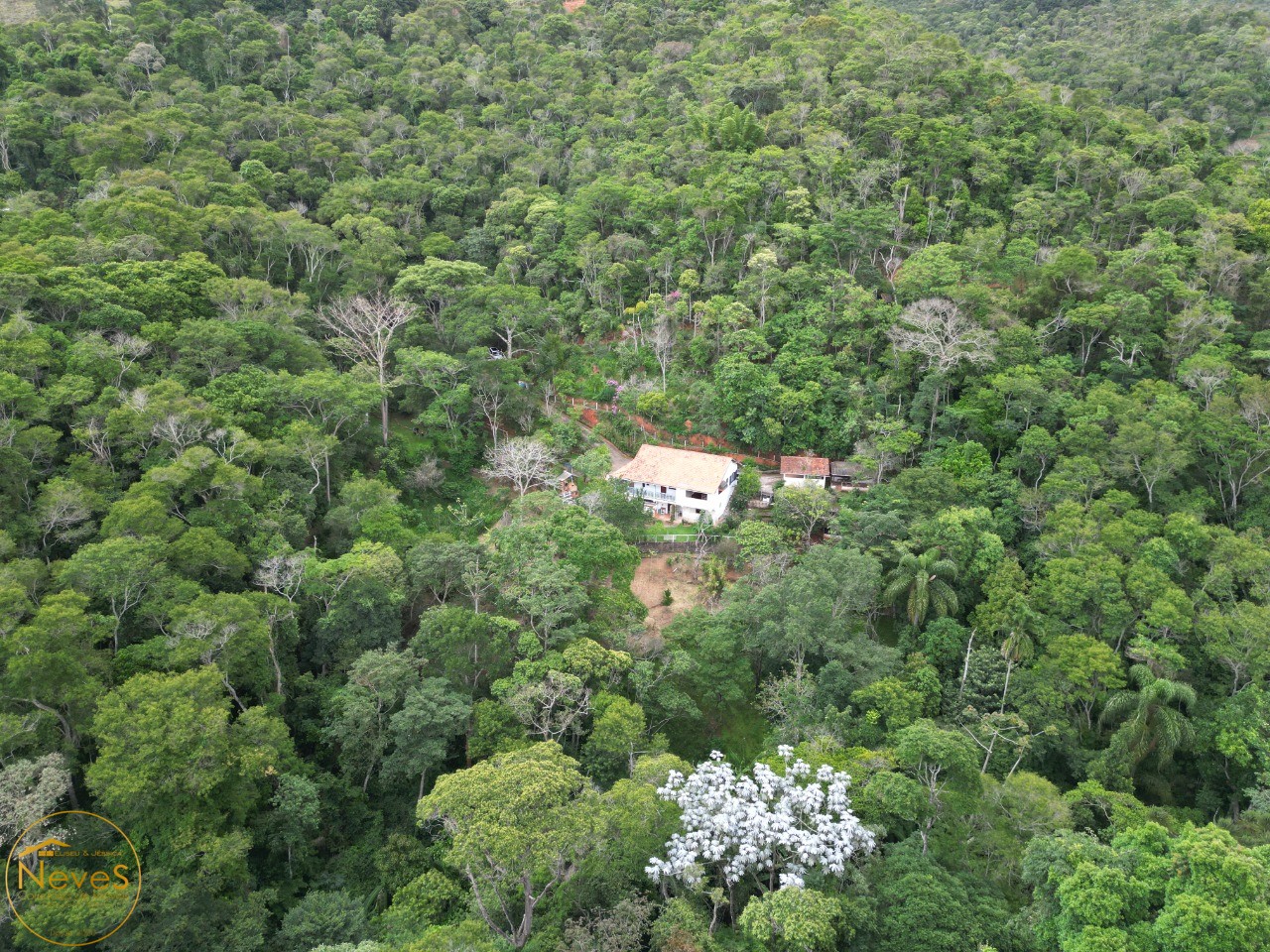 Sítio, 3 quartos, 2 hectares - Foto 55