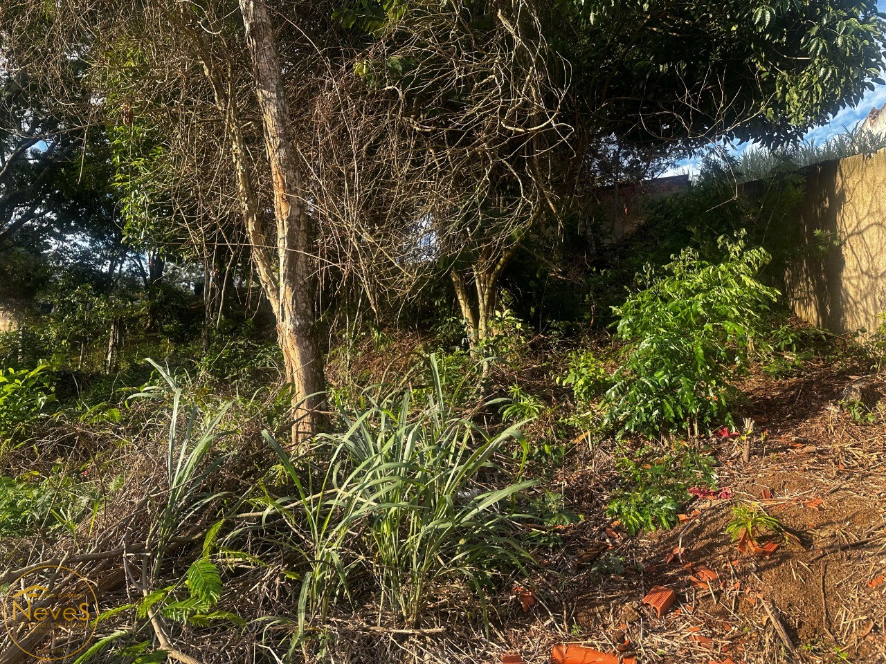Terreno à venda, 408m² - Foto 8