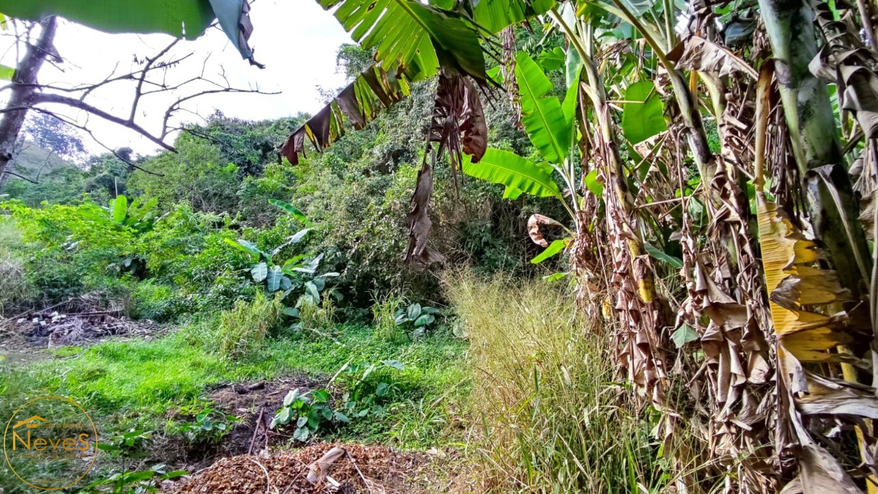 Terreno à venda, 2646m² - Foto 3