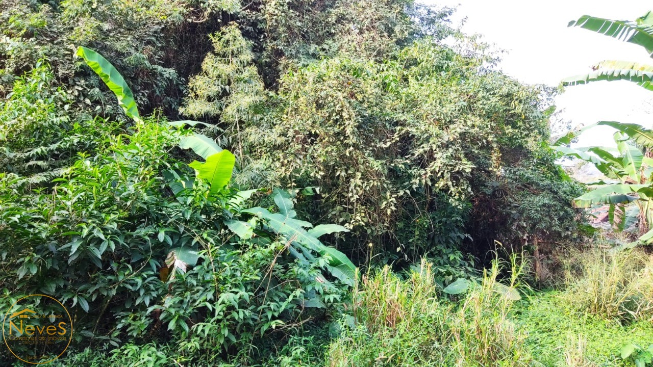 Terreno à venda, 2646m² - Foto 6