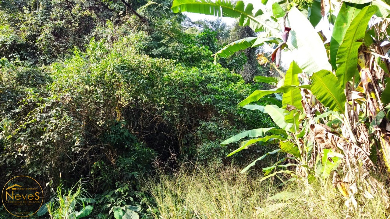 Terreno à venda, 2646m² - Foto 7