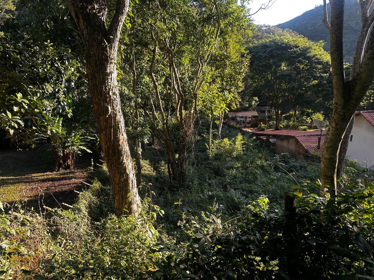 Terreno à venda, 1000m² - Foto 7