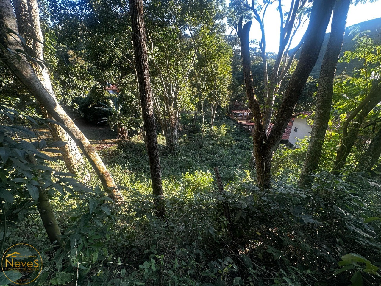 Terreno à venda, 1000m² - Foto 6