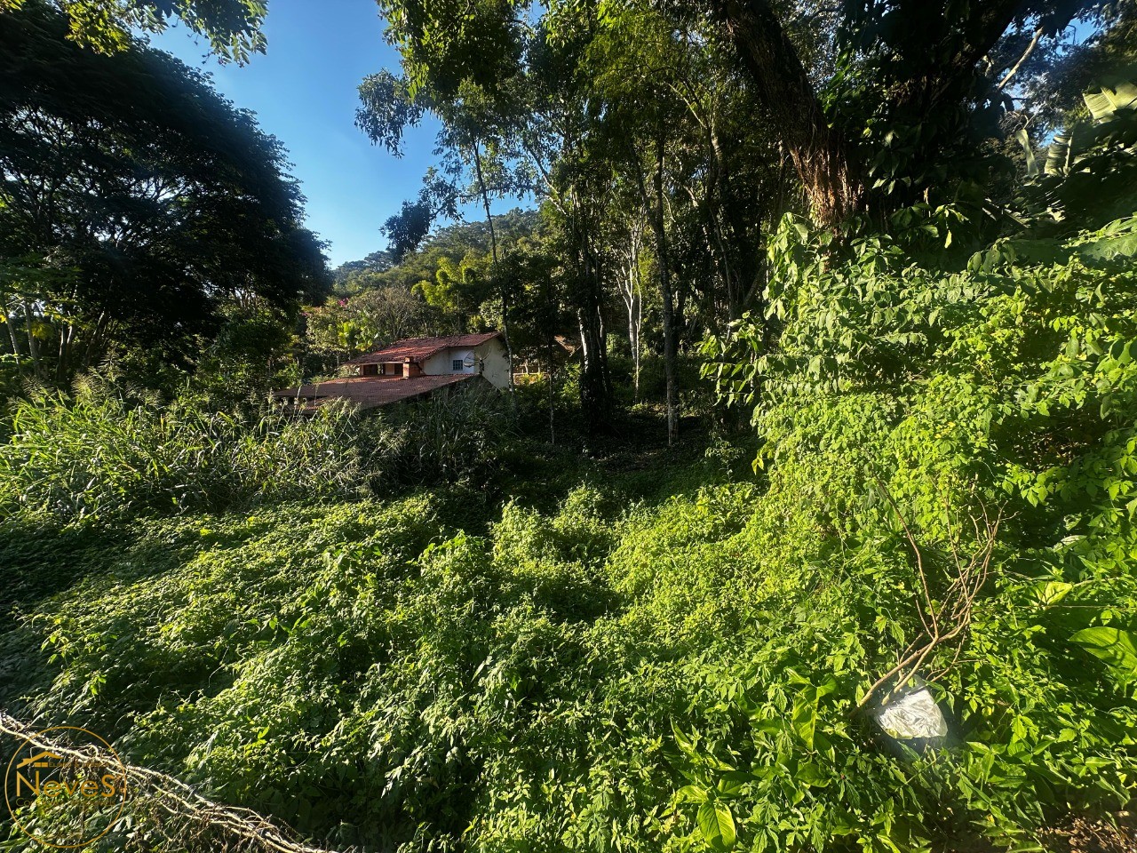 Terreno à venda, 1000m² - Foto 4