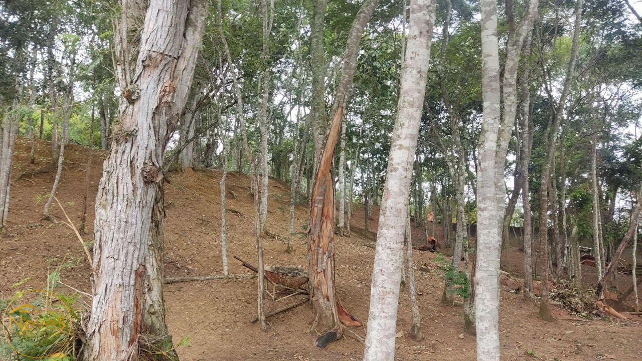 Terreno à venda, 3206m² - Foto 10