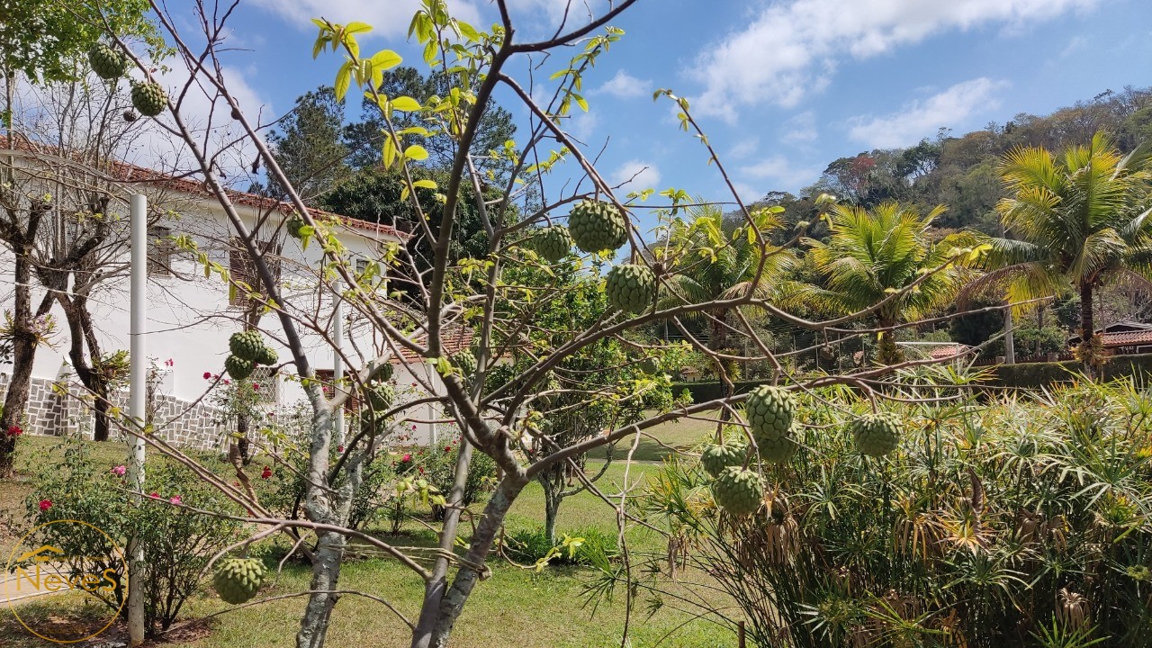 Sítio à venda com 11 quartos - Foto 38