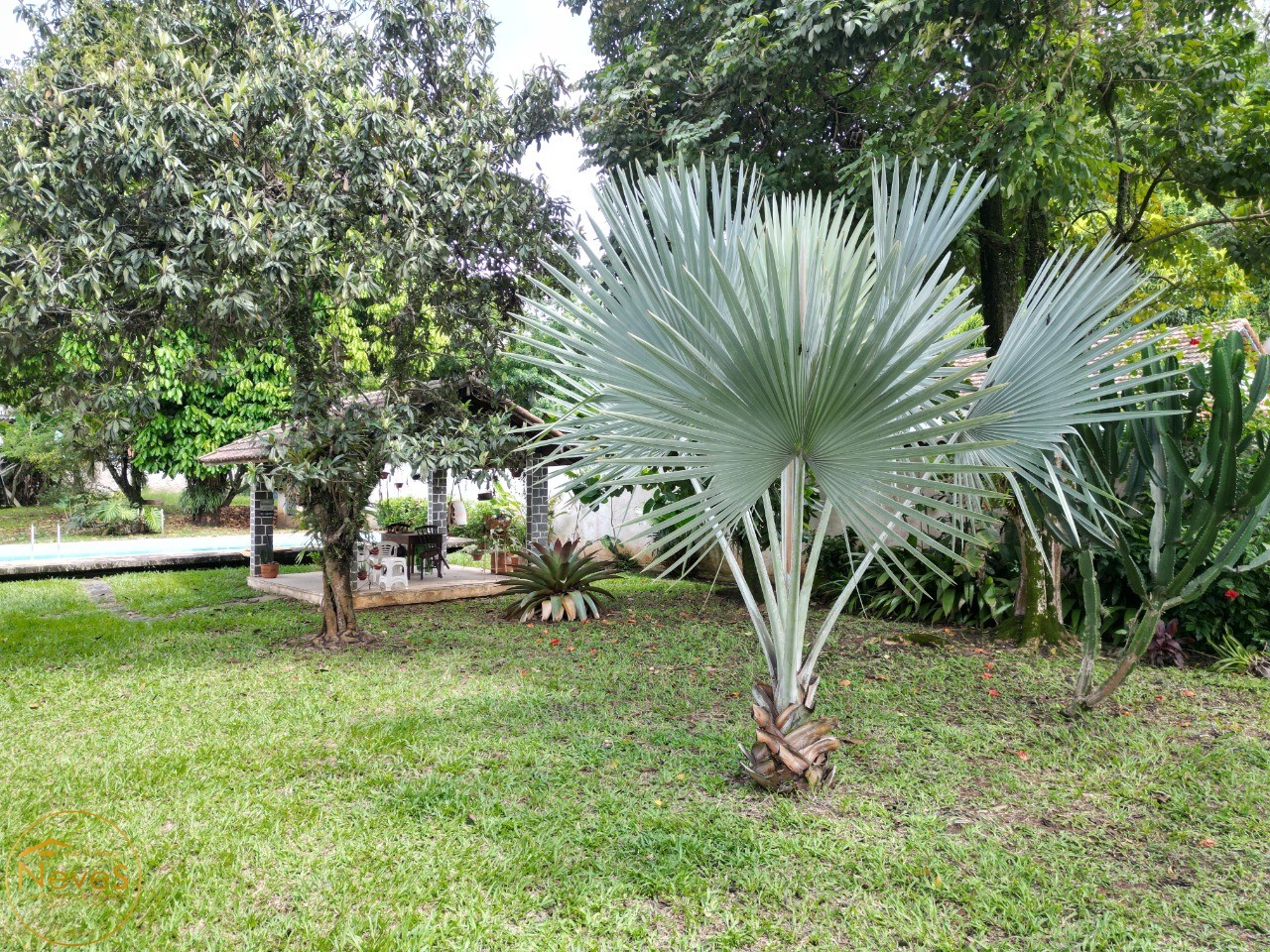 Casa, 7 quartos - Foto 6