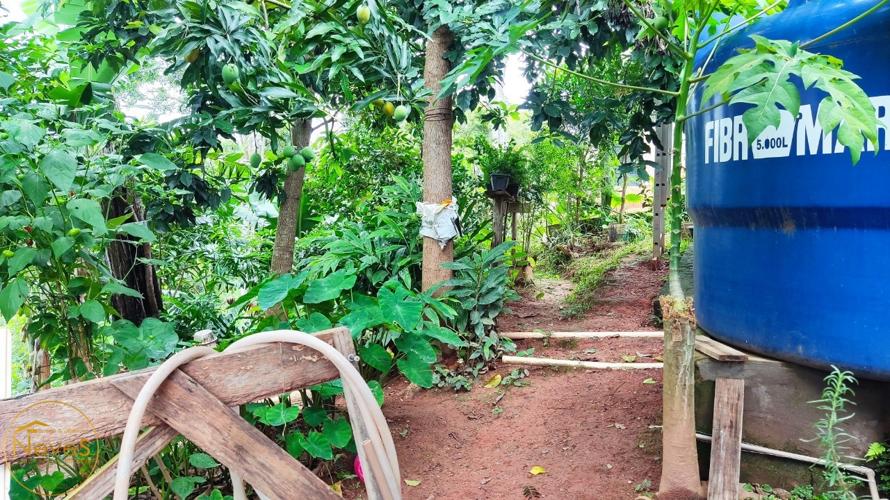 Casa, 2 quartos - Foto 23