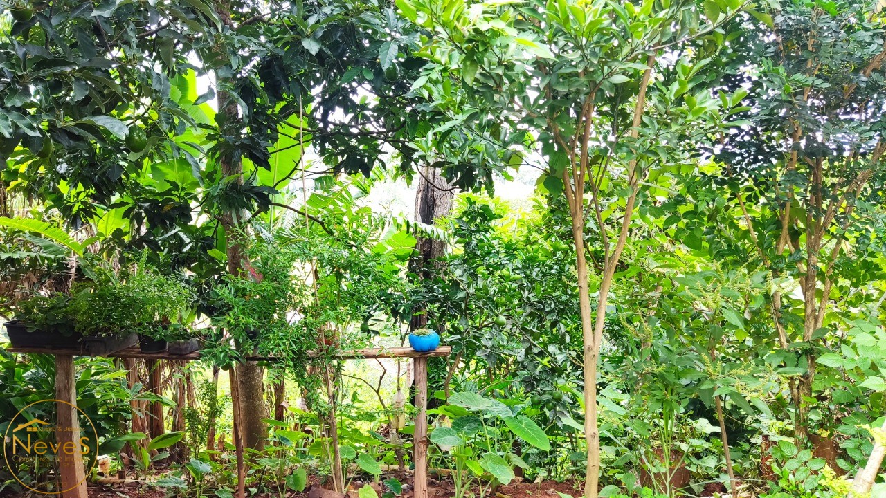 Casa, 2 quartos - Foto 19