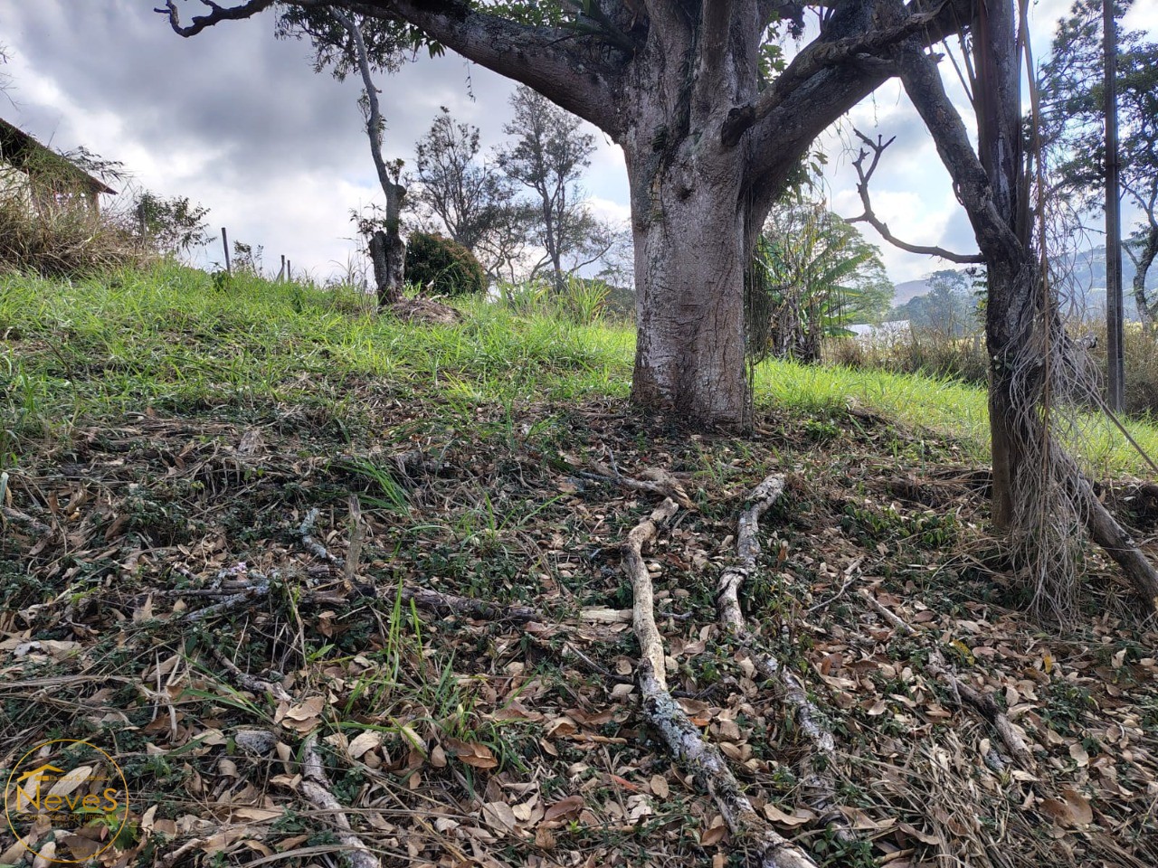 Terreno, 620 m² - Foto 7