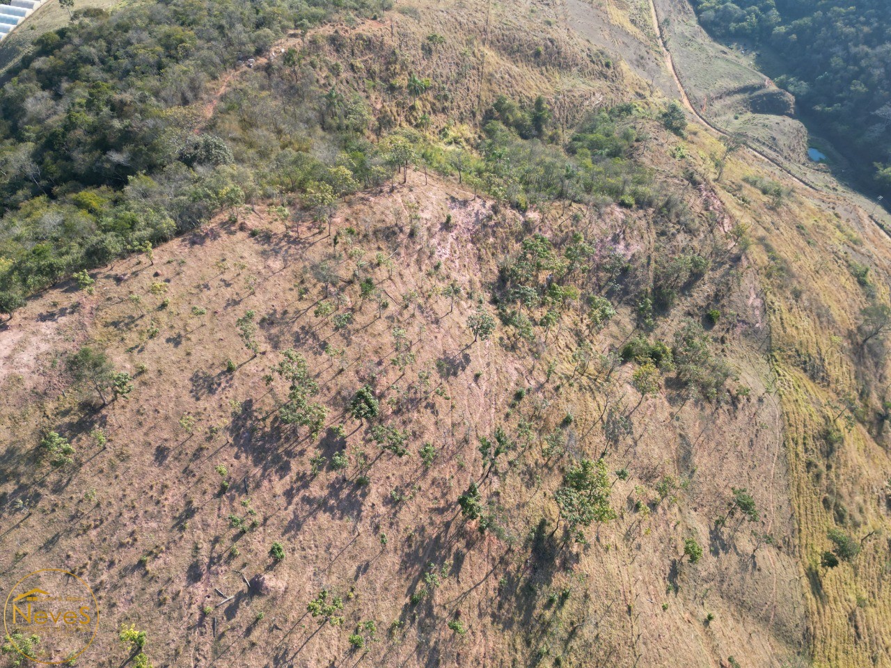 Terreno, 12 hectares - Foto 20