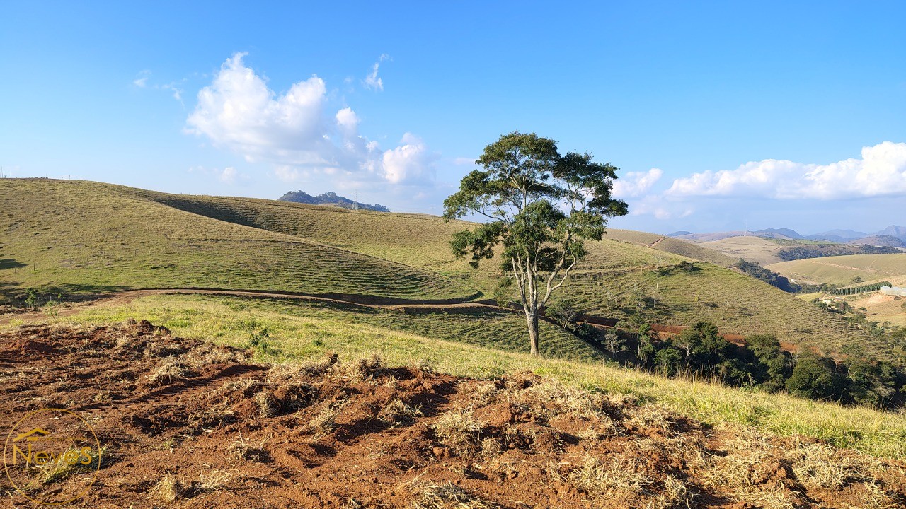 Terreno, 12 hectares - Foto 6