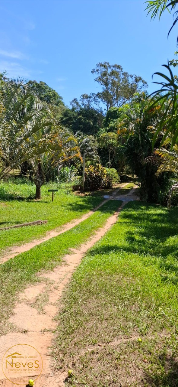Sítio, 10 quartos, 8 hectares - Foto 47