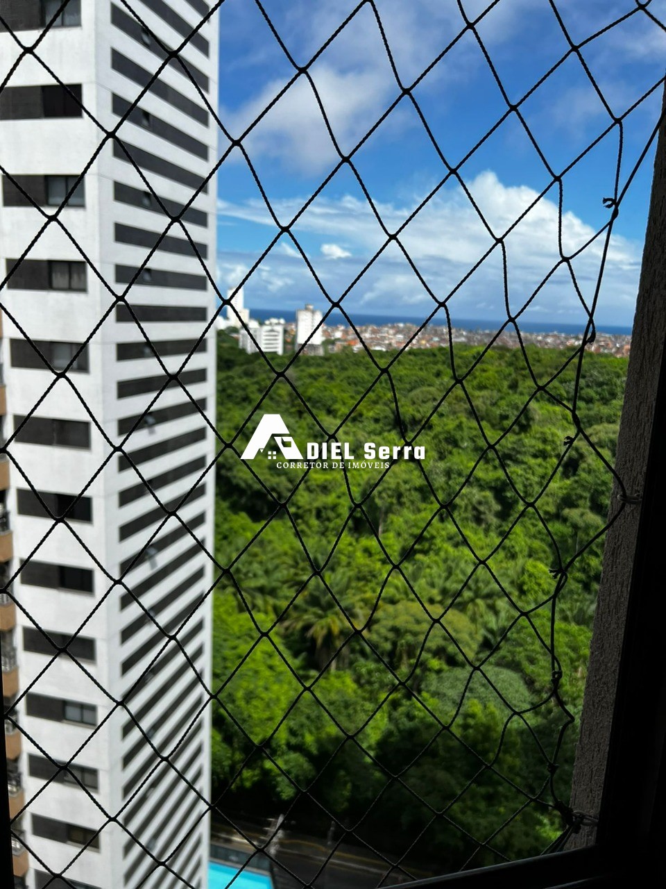Apartamento - Pituba