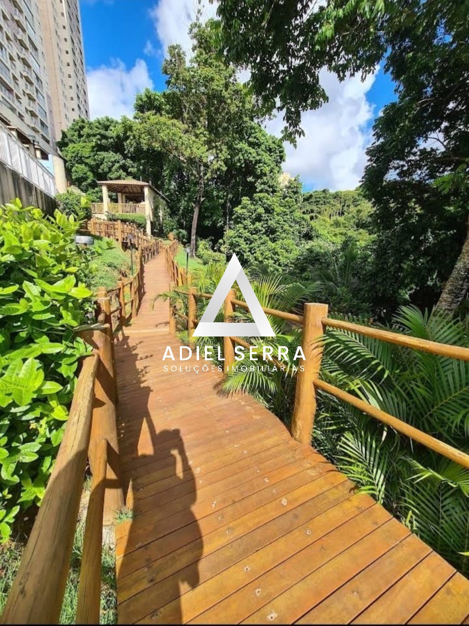 Apartamento - Parque bela vista