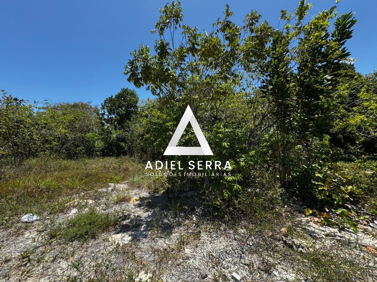 Terreno - Busca vida (abrantes)