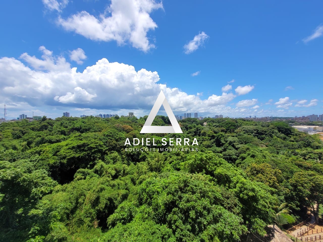 Apartamento - Parque bela vista
