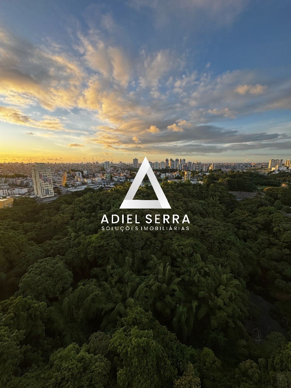Apartamento - Parque bela vista